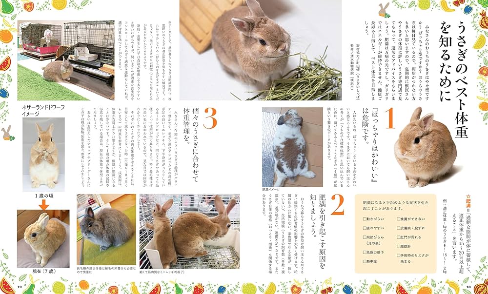 うさ@ページ 楽天市場】ペットケージ 飼育ケージ ペットハウス 107*73*63m